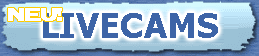 Titten Livecams